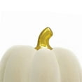 thumbnail image 3 of Member's Mark Flocked Pumpkins, Set of 3, 3 of 4