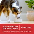 thumbnail image 7 of Purina ONE SmartBlend Natural Lamb and Rice, Adult Dry Dog Food, 44 lbs., 7 of 10