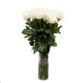 thumbnail image 4 of Member's Mark Roses, choose color variety and stem count, 4 of 7