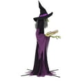 thumbnail image 5 of Member's Mark 9' Pre-Lit Animated Spell-Casting Witch, 5 of 5