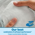 thumbnail image 5 of Member's Mark Premium Baby Diapers, Sizes Newborn - 7, 5 of 9