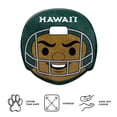 thumbnail image 4 of Logo Brands Hawaii Rainbow Warriors Puff Pillow, 4 of 5