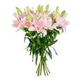 thumbnail image 2 of Member's Mark LA Hybrid Lilies, choose color and stem count, 2 of 8
