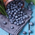 thumbnail image 5 of Member's Mark Blueberry Misty & Sharpblue, 2pk, 5 of 10