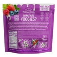 thumbnail image 4 of Nature's Garden Probiotic Mixed Berry Yoggies 0.7 oz., 24 pk., 4 of 6