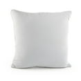 thumbnail image 4 of Licensed Decorative Pillow, 20" x 20", 4 of 7