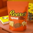 thumbnail image 7 of REESE'S Chocolate Peanut Butter Dipped, Animal Crackers, 24 oz., 7 of 8