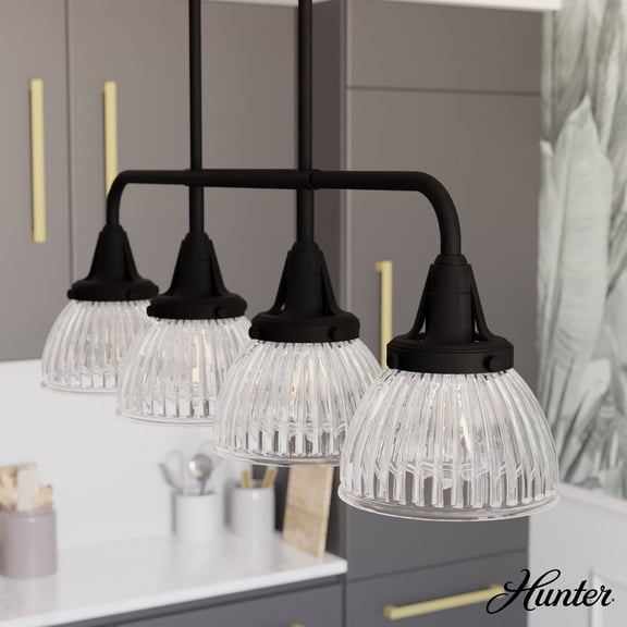 Hunter Cypress Grove with Clear Holophane Glass 4 Light Chandelier Ceiling Light Fixture