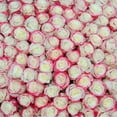 thumbnail image 2 of Member's Mark Ecuadorian Premium Roses, choose color variety and stem count, 2 of 8