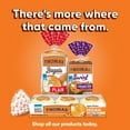 thumbnail image 9 of Thomas Plain Bagel Thins 8 ct., 13 oz., 9 of 9