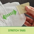 thumbnail image 11 of Member's Mark Premium Baby Diapers (Choose Your Size), 11 of 14