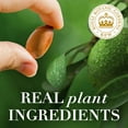 thumbnail image 4 of Herbal Essences Argan Oil & Aloe Shampoo, 29.2 fl. oz., 4 of 8
