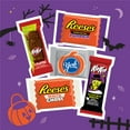 thumbnail image 5 of HERSHEY'S Halloween Assorted Flavored Snack Size Candy, 80 pcs., 5 of 8