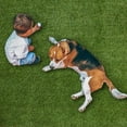 thumbnail image 4 of Select Surfaces Evergreen Artificial Grass Roll, Choose Size, 4 of 6