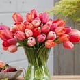 thumbnail image 4 of Member's Mark Tulip Impression Blend Dormant Bulbs, 40pk, 4 of 8