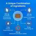 thumbnail image 6 of Nutramax Cosequin Joint Health Supplement for Dogs with Glucosamine, Chondroitin, MSM, Omega-3's and HA, 150 Soft Chews, 6 of 9