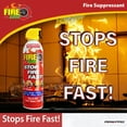 thumbnail image 3 of Fire Gone 16 oz Fire Extinguishing Spray-2 pack, 3 of 7