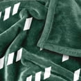 thumbnail image 5 of Logo Brands Green Bay Packers 60"x70" Super Plush Blanket, 5 of 7