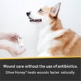 thumbnail image 4 of SILVER HONEY HOT SPOT & WOUND CARE OINTMENT 2OZ, 4 of 4