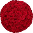 thumbnail image 1 of Member's Mark Roses, choose color variety and stem count, 1 of 7