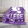 thumbnail image 2 of Logo Brands Morris Brown College Wolverines 60"x70" Super Plush Blanket, 2 of 7