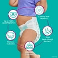 thumbnail image 4 of Pampers Cruisers Stay-Put Fit Diapers, Sizes:3-7, 4 of 10