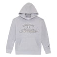 thumbnail image 5 of Champion Boys Hoodie, 5 of 7