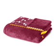 thumbnail image 4 of Logo Brands Central State Marauders 60"x70" Super Plush Blanket, 4 of 7