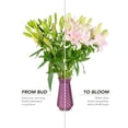 thumbnail image 6 of Member's Mark LA Hybrid Lilies, choose color and stem count, 6 of 8