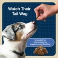thumbnail image 8 of Blue Buffalo Blue Bits Chicken and Beef Variety Pack, Soft-Moist Training Treats, 11 oz., 2 ct., 8 of 9