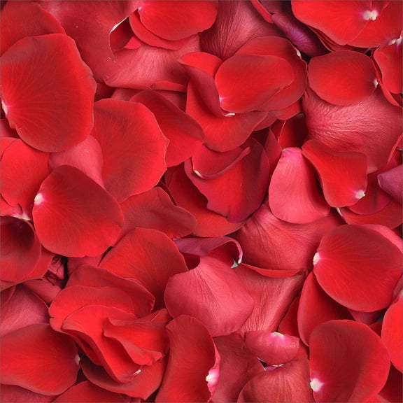 Member's Mark Fresh Rose Petals, 3000 ct., Choose color variety