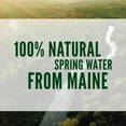 thumbnail image 3 of Poland Spring 100% Natural Spring Water, 20 fl. oz., 28 pk., 3 of 8