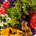 thumbnail image 2 of Member's Mark Mixed Farm Bouquets, 10 pk., choose variety, 2 of 5