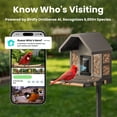 thumbnail image 4 of Birdfy Smart Metal Bird Feeder with Built-in Solar Panel and AI Camera, 4 of 11
