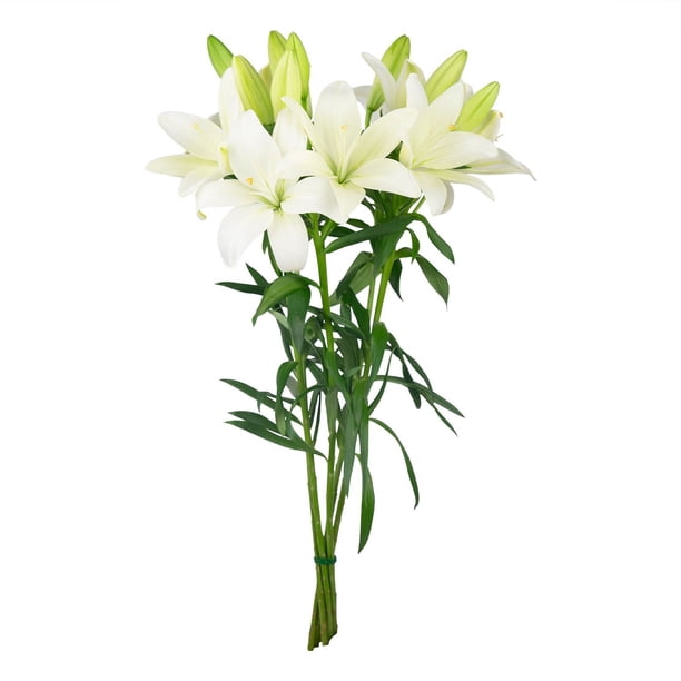 Member's Mark LA Hybrid Lilies, choose color and stem count