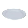 thumbnail image 1 of Termo Envases Foam Party Plates, 9" 250 ct., 1 of 3