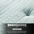 thumbnail image 6 of Beautyrest Silver Dearborn Mattress Available in Extra Firm, Medium Pillow Top, and Plush, 6 of 6