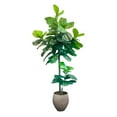 thumbnail image 1 of Faux 8' Fig Tree in Oversized Ceramic Pot, 1 of 6