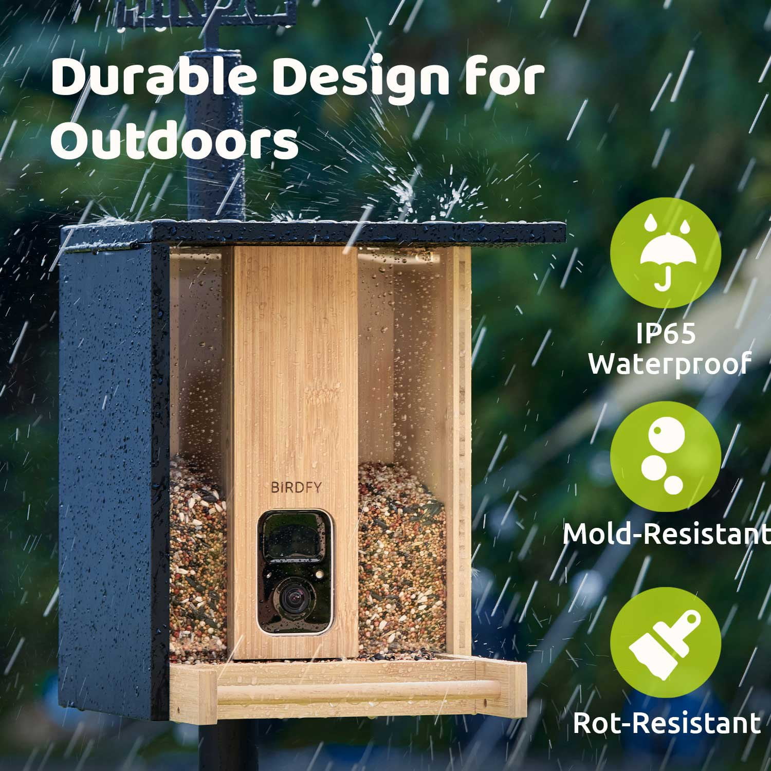 Birdfy Bamboo Smart Bird Feeder - Samsclub.com
