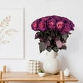 thumbnail image 3 of Member's Mark Farm Fresh Velvet Roses, choose color and stem count, 3 of 9