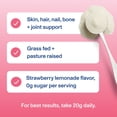 thumbnail image 4 of Vital Proteins Strawberry Lemonade Collagen Peptides Powder - 26ct, 4 of 4