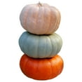 thumbnail image 1 of Heirloom Pumpkin, 1 ct., 1 of 5