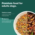 thumbnail image 5 of Jinx Homeamdes Variety Pack, Wet Dog Food Pack , 9 oz., 12 ct., 5 of 12