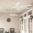 thumbnail image 1 of Hunter Downtown ENERGY STAR® Damp Rated Ceiling Fan and Wall Control - 72" & 60" Assorted Colors, 1 of 24