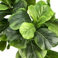 thumbnail image 2 of Faux 60" Fig Floor Plant in Roped Basket, 2 of 6