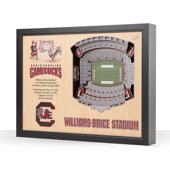 YouTheFan South Carolina Gamecocks 25-Layer Football Stadium View 3D Wall Art