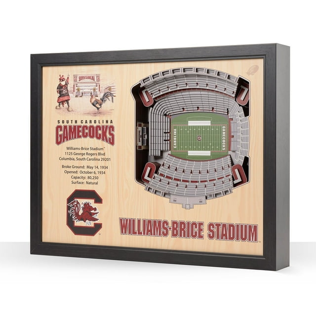 YouTheFan South Carolina Gamecocks 25-Layer Football Stadium View 3D Wall Art