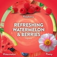 thumbnail image 4 of Air Wick Plug In Scented Oil Air Freshener, Refreshing Watermelon & Berries, 1 warmer + 6 refills, 4 of 11
