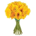 thumbnail image 2 of Member's Mark Gerbera Daisies, choose color and stem count, 2 of 8