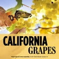 thumbnail image 5 of Robert Mondavi Private Selection Buttery Chardonnay 750 ml, 5 of 6